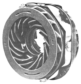resume image